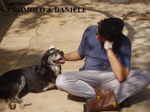 Io con romolo, dolce cagnolone a tre zampe